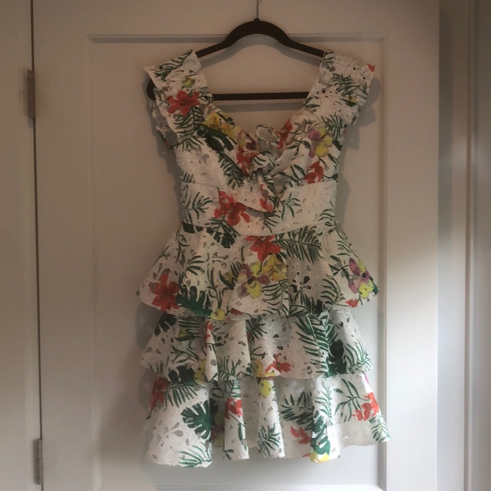 Caroline Constas Helena Tiered lace dress